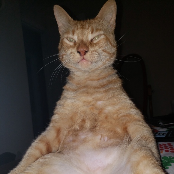 Meet the Posher Other - Meet your Posher, Canelo